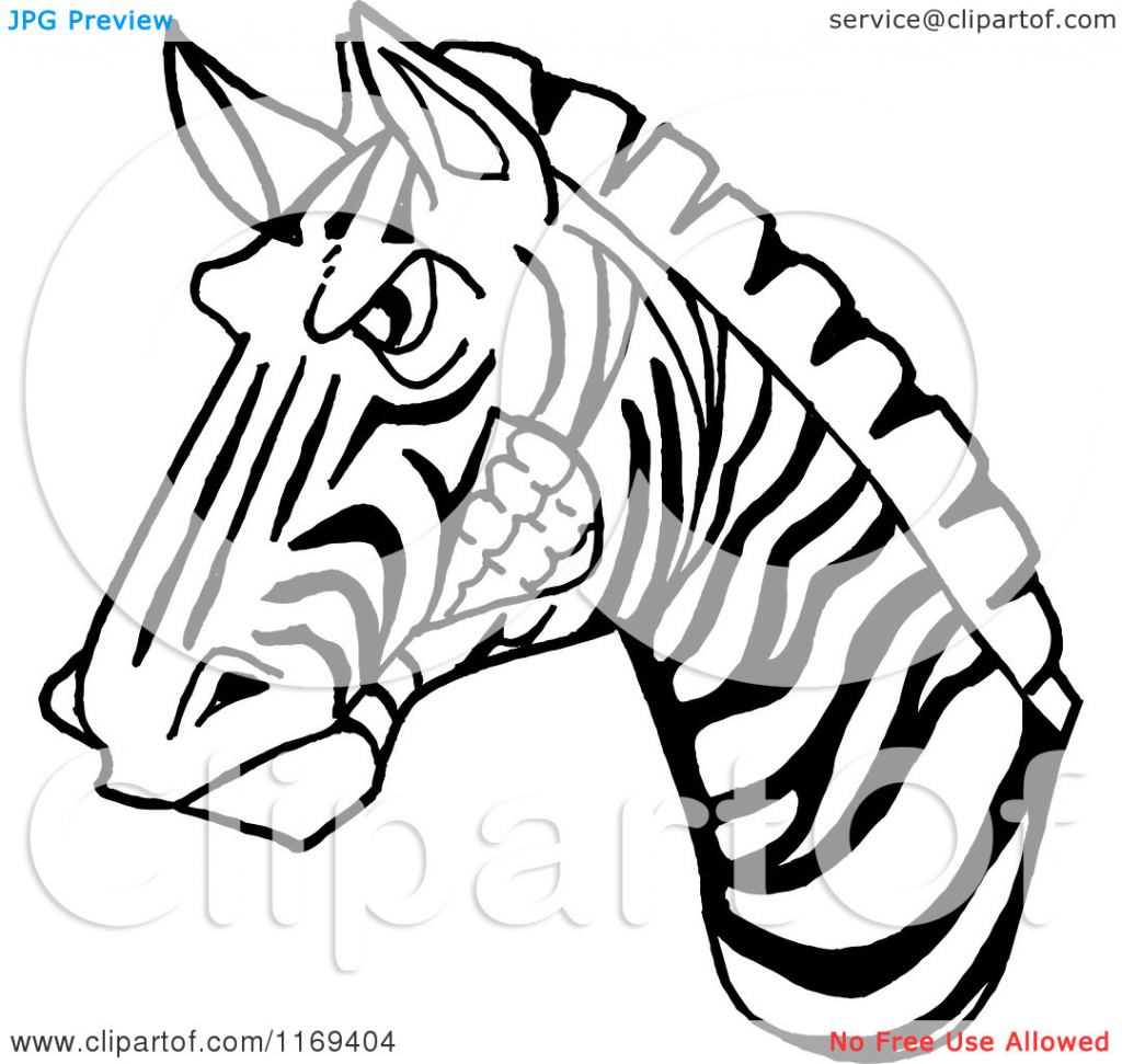 1024x971 Cartoon Drawing Zebra Cartoon Of A Black And White Aggressive
