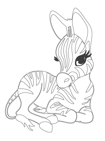 360x480 Cute Baby Zebra Coloring Page Free Printable Coloring Pages