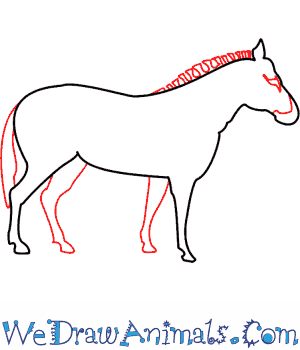 300x350 How To Draw A Zebra