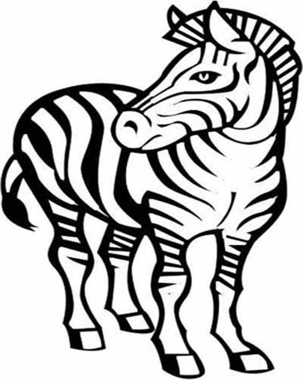 600x752 Zebra, Awesome Zebra Drawing Coloring Page Coloring For Kids