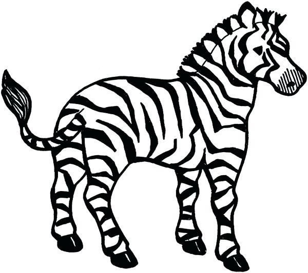 600x533 Zebra Coloring Book Coloring Page Free Printable Zebra Coloring