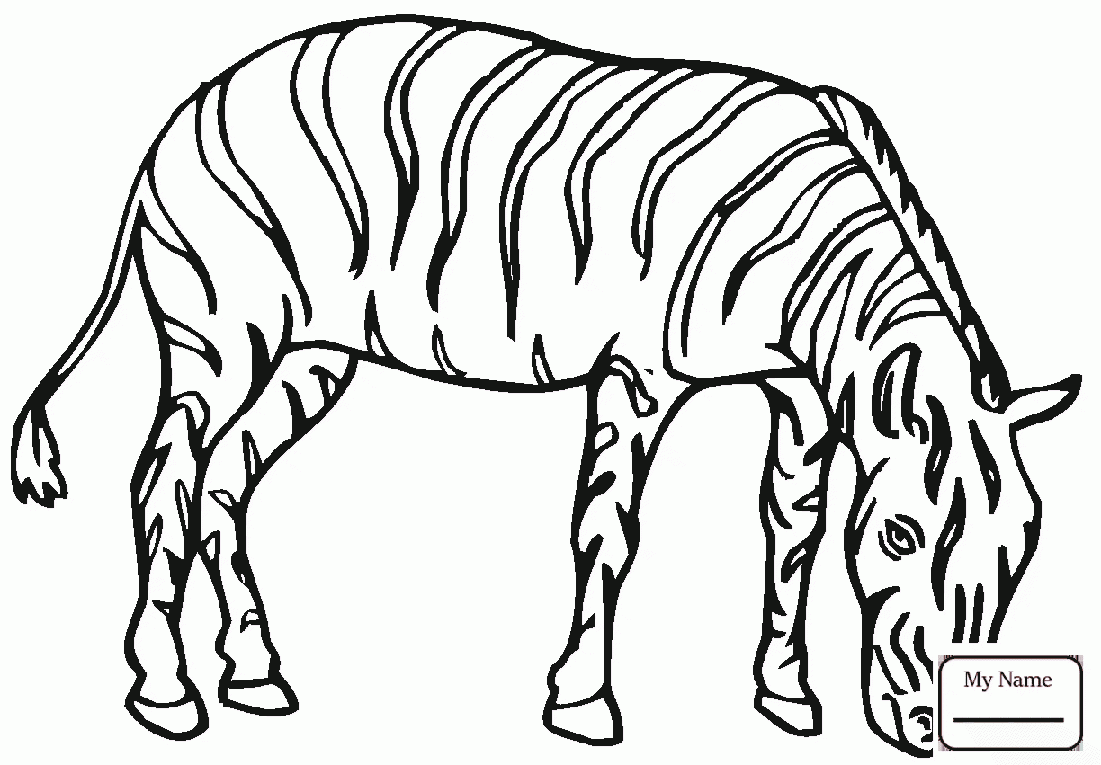 1224x851 Coloring Pages For Kids Zebra Mammals Zebras