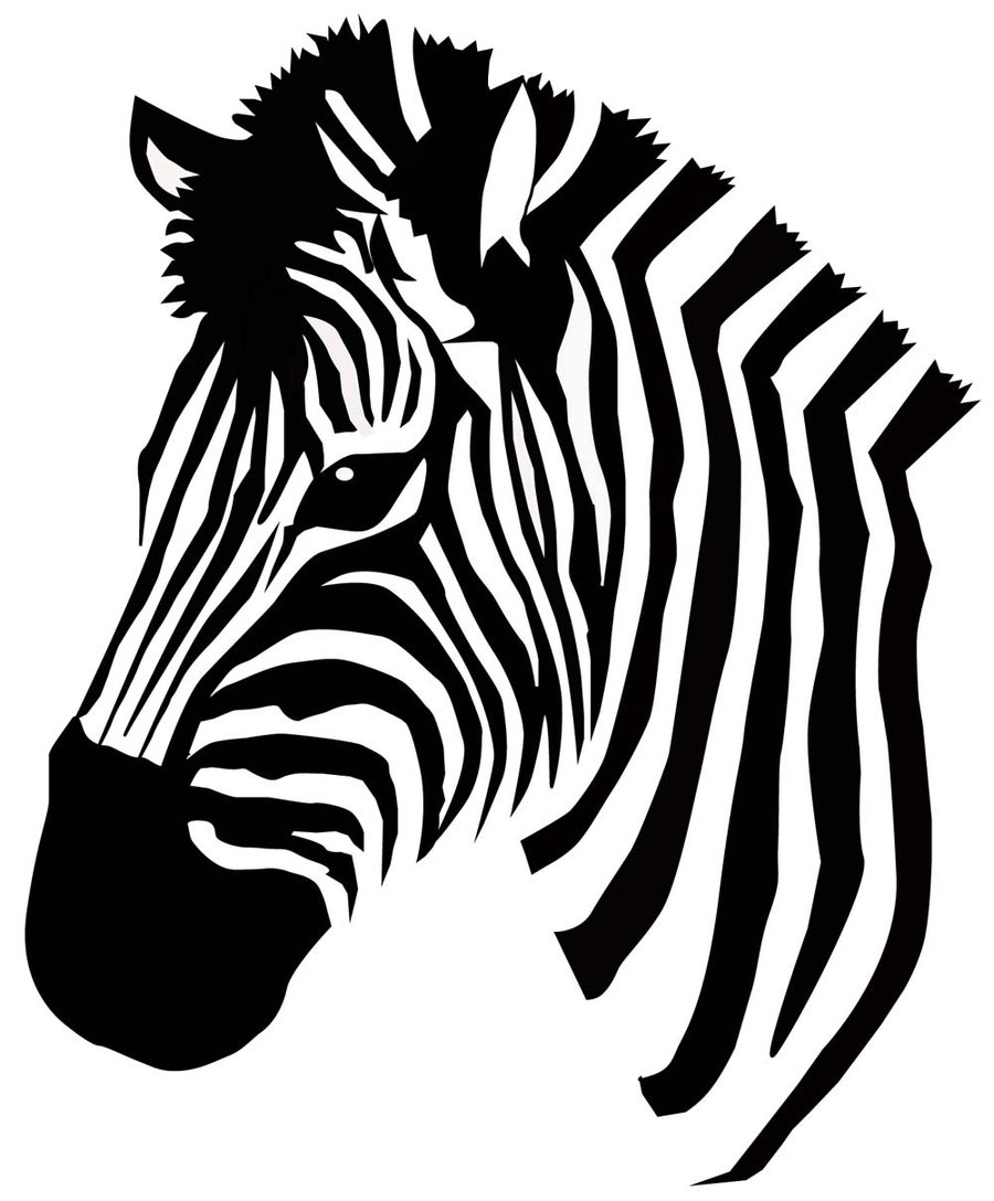 900x1088 Drawing How To Draw Zebra Print On Nails With How To Draw Animal