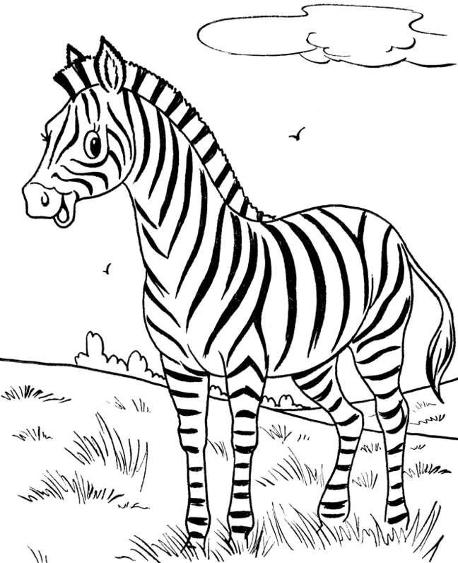 648x796 Zebra Cartoons Coloring Pages Mammals Page