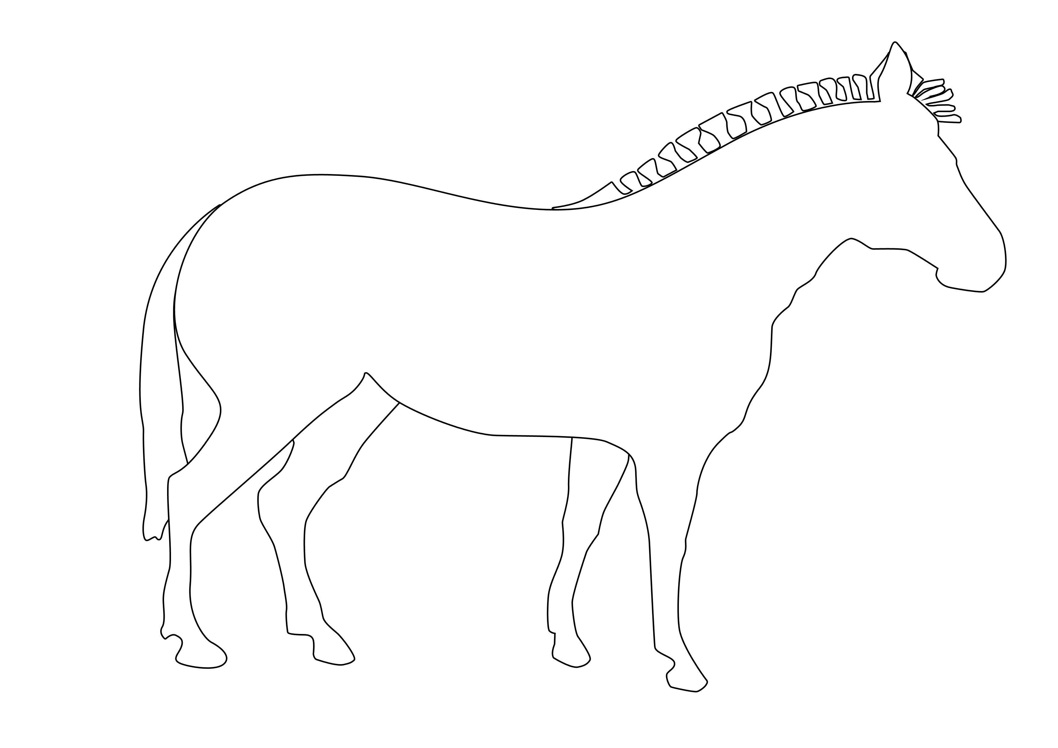 3508x2480 Zebra Clipart Outline