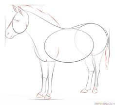 236x216 Zebra Drawing Summer Projects Drawings