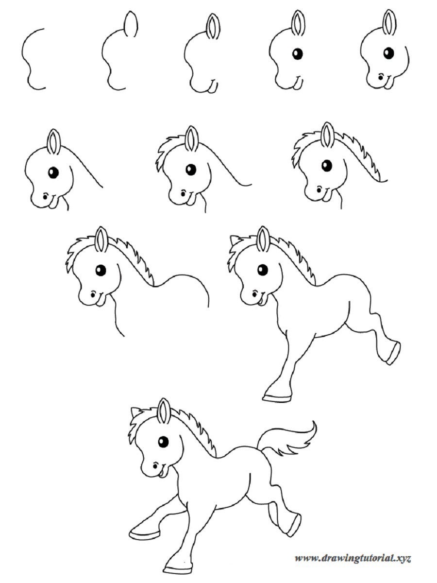 900x1200 Easy Drawings Step By Step Animals Best Wallpaper Best Drawing