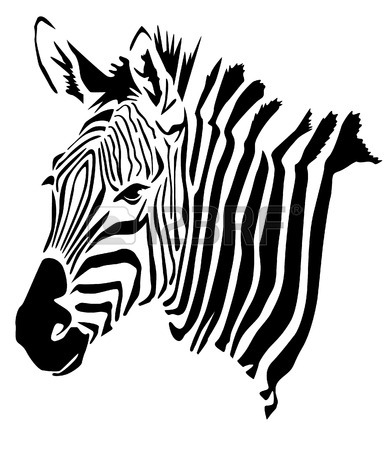 390x450 Zebra Head Stock Photos. Royalty Free Business Images