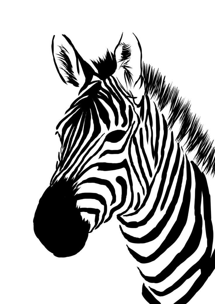 736x1041 Zebra Face Paint Ideas On Fasching Inspiring Children S