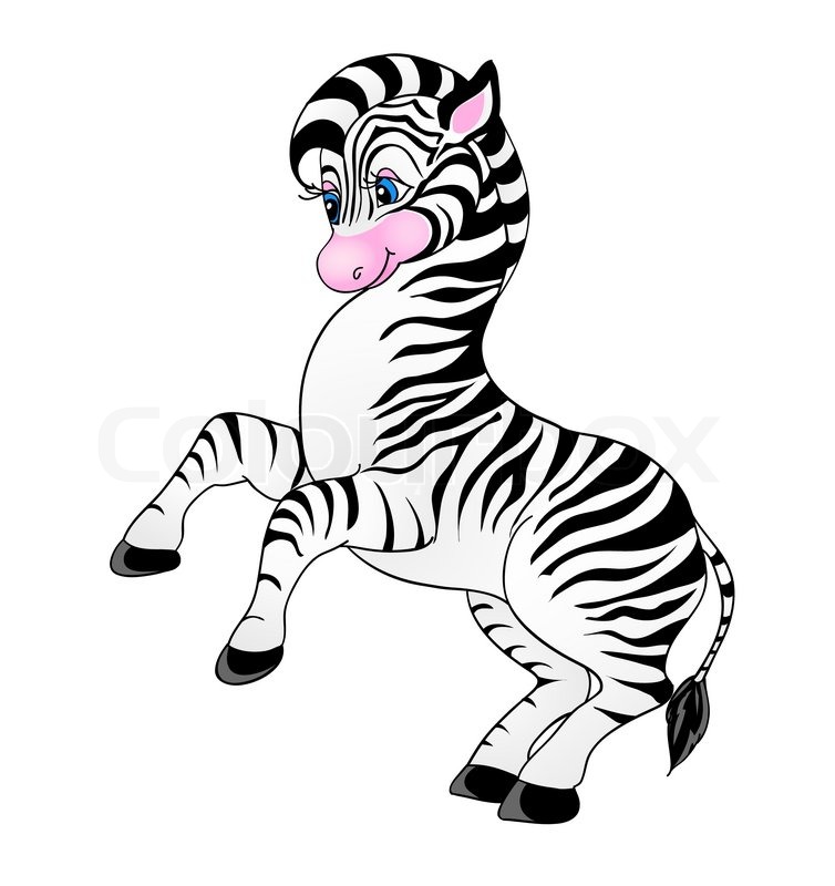 754x800 Cartoon Zebra, With Isolation On A White Background Stock Vector