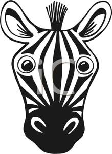 219x300 Head Of A Zebra In Black And White