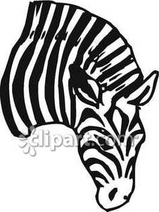226x300 Zebra Head Clipart