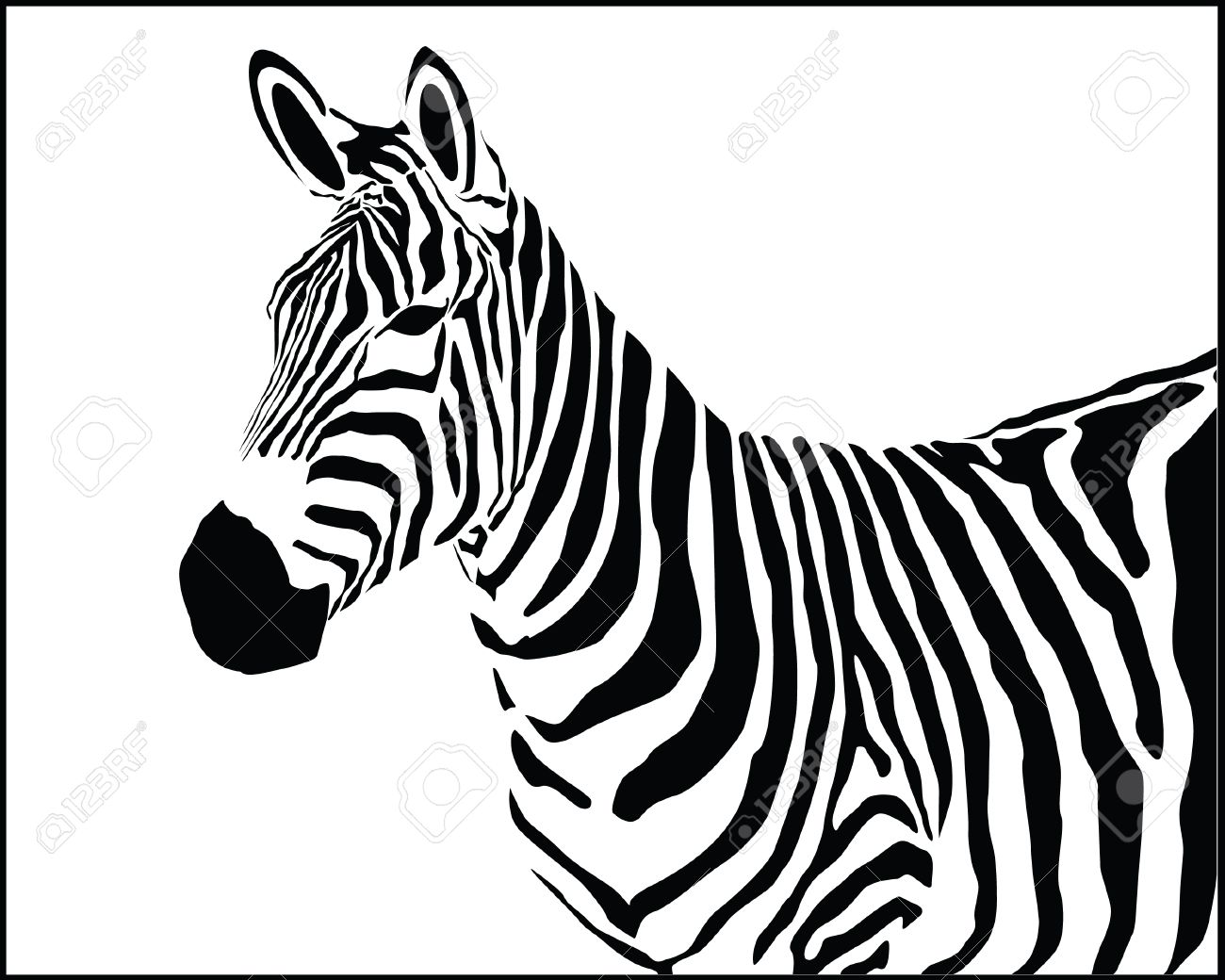 1300x1040 Zebra Head Drawing