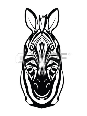 336x450 Zebra Head Royalty Free Cliparts, Vectors, And Stock Illustration