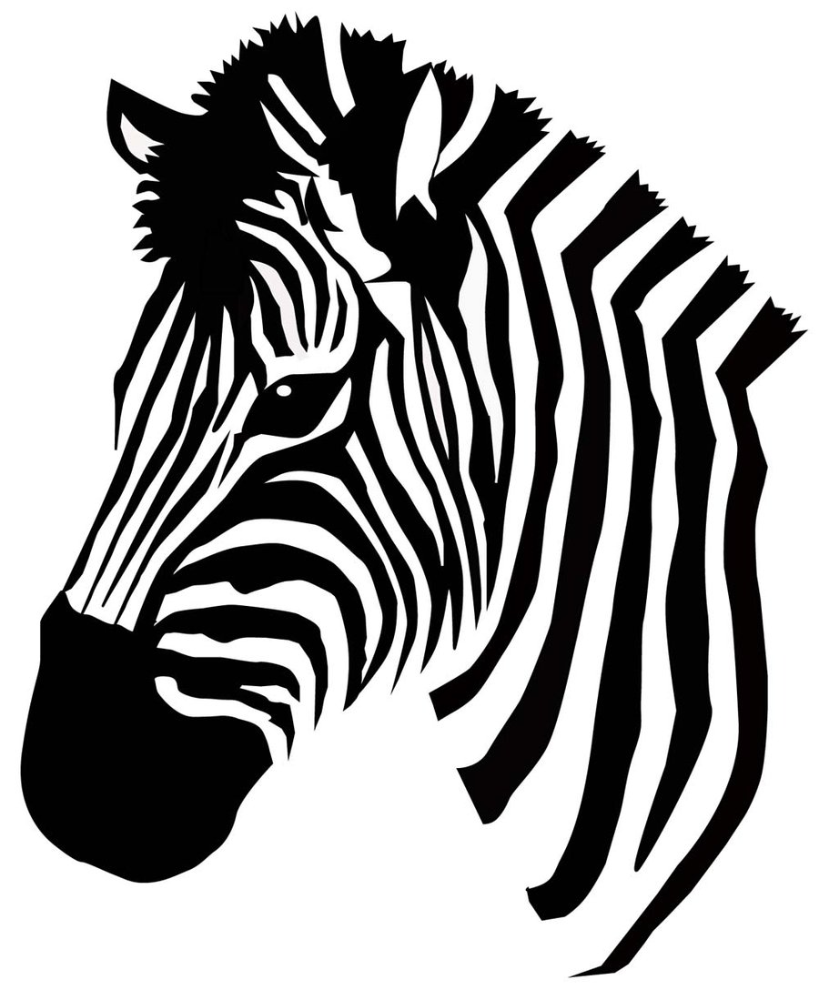 Zebra Head Drawing at GetDrawings | Free download