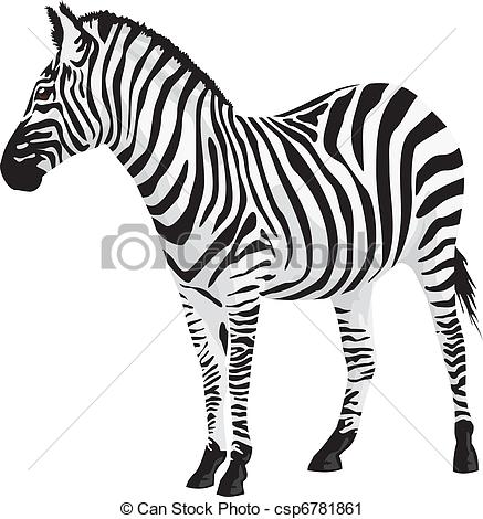 437x470 Zebra Clipart Line Drawing