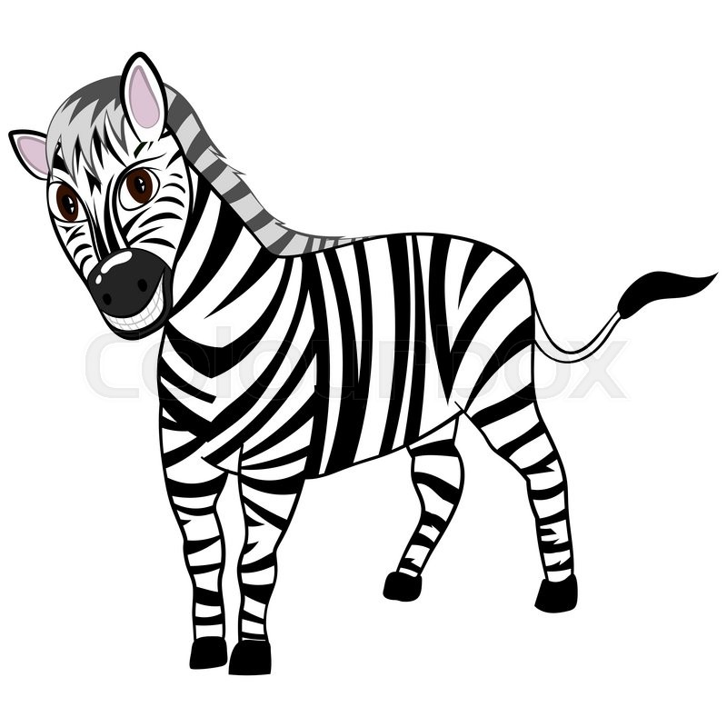 800x800 Funny Cartoon Character Zebra With Wide Smile Over White