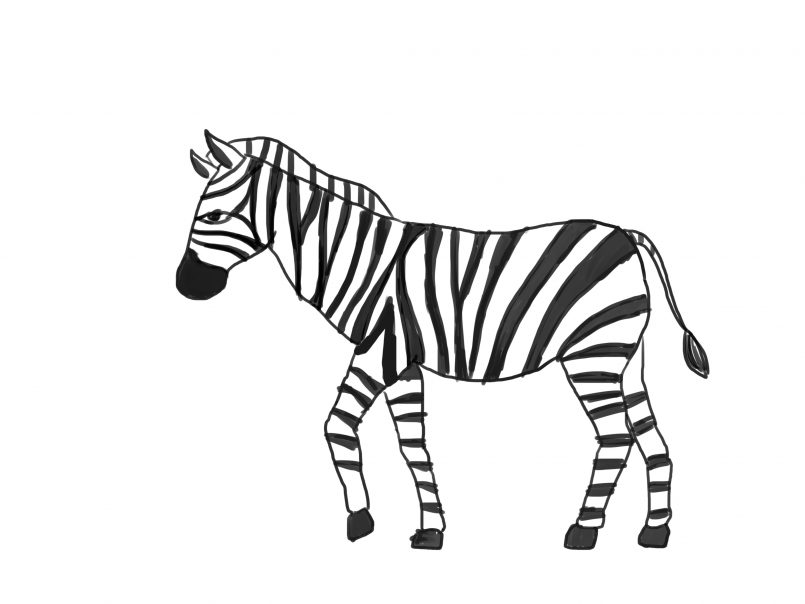 805x604 Drawing How To Draw A Zebra Print Plus How To Draw Animal