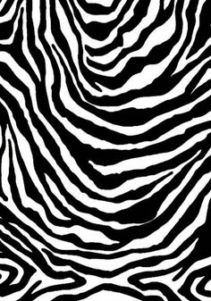 236x337 Zebra Print Wallpaper