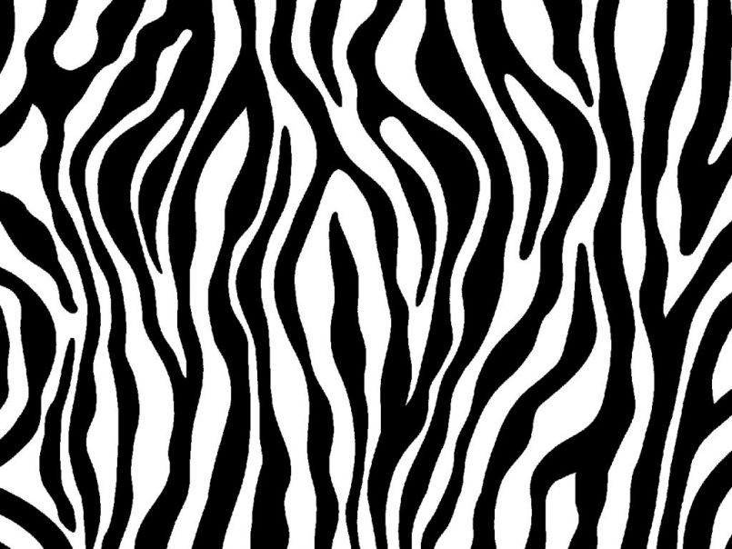 805x604 Advice Pictures Of Animal Prints Drawing How To Draw Zebra Print