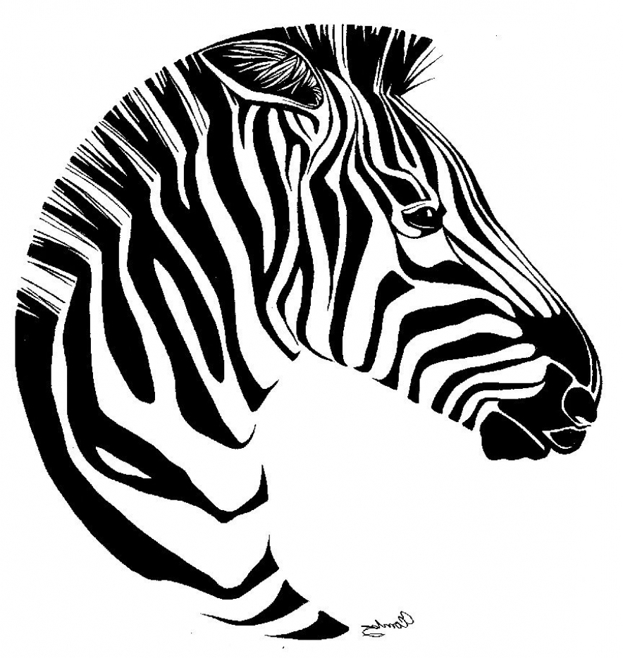 Zebra Print Drawing at GetDrawings | Free download