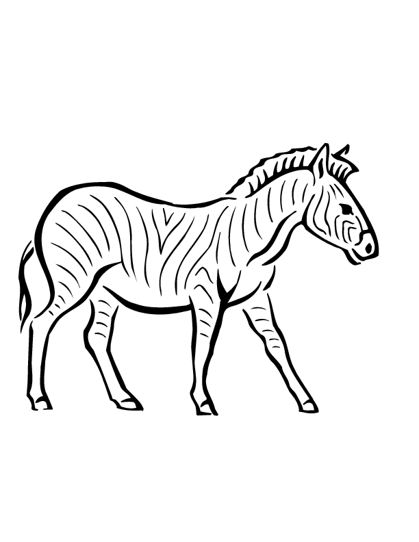 612x792 Free Printable Zebra Coloring Pages For Kids
