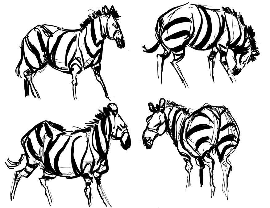 875x676 Martin Wittig Zebras