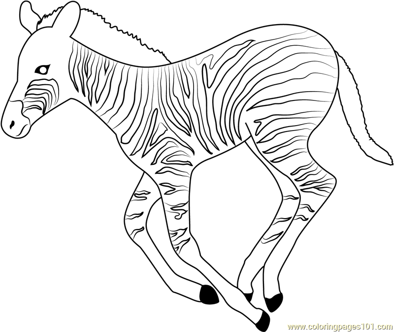 800x674 Running Zebra Coloring Page