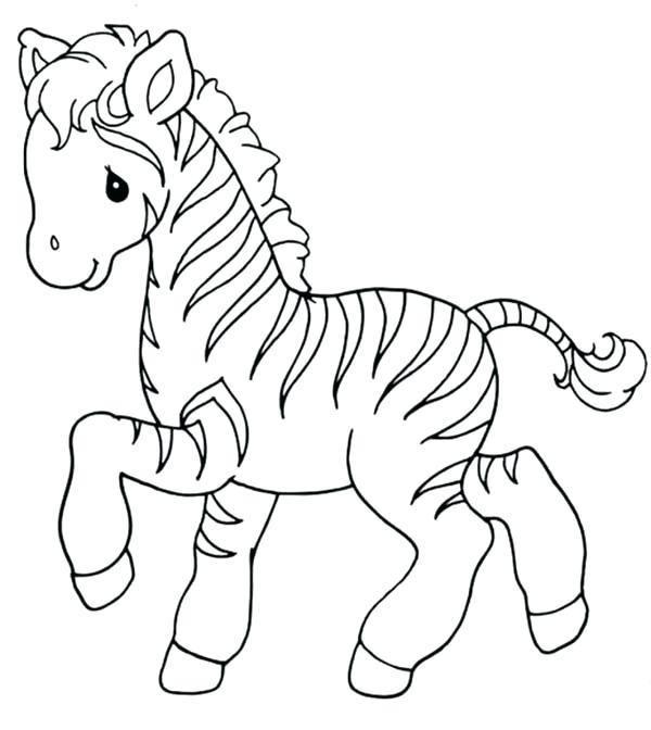 600x672 Zebra Pictures To Print And Color Free Zebra Coloring Pages