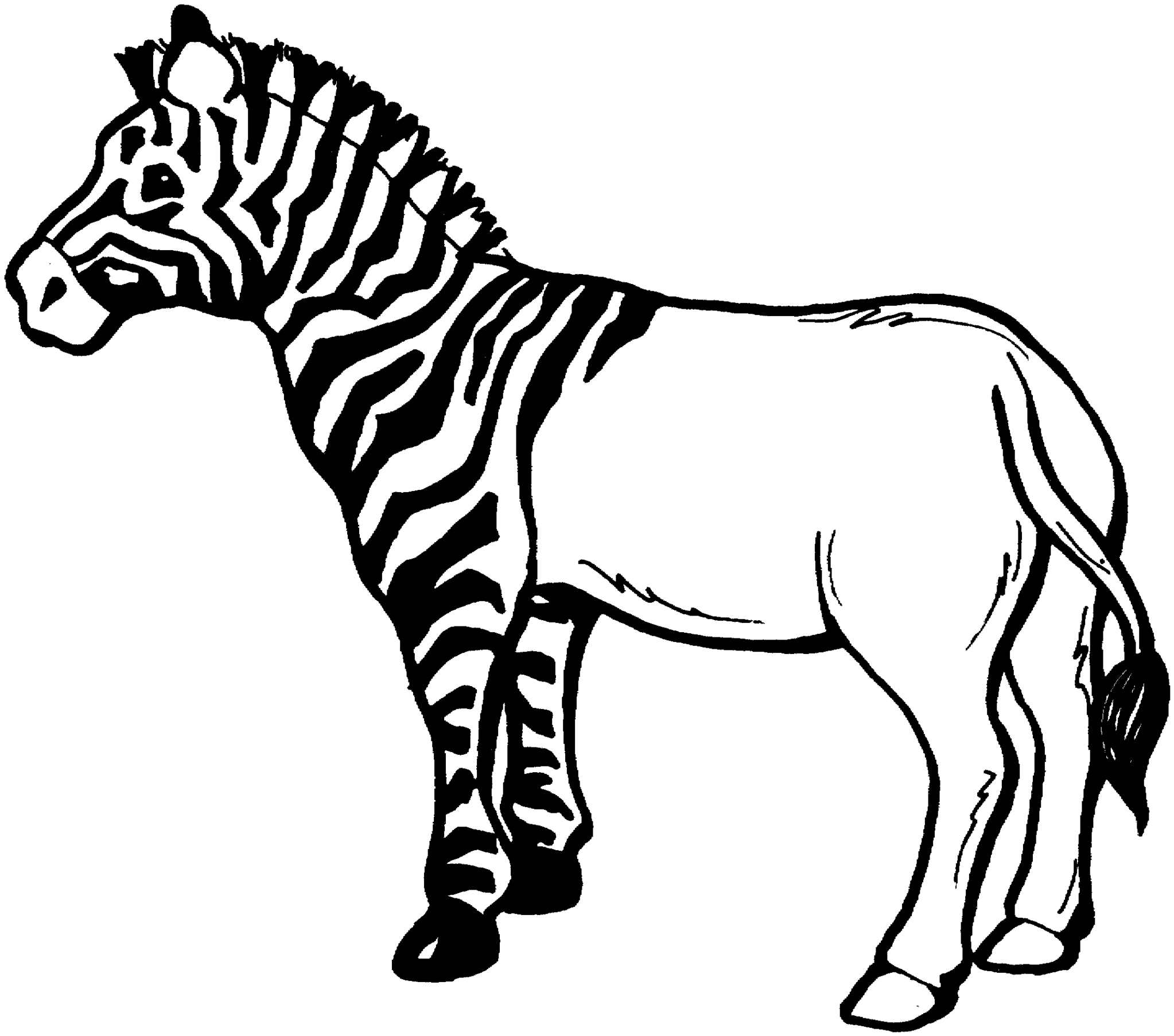 2046x1806 Zebra Line Drawing Clipart Free To Use Clip Art Resource