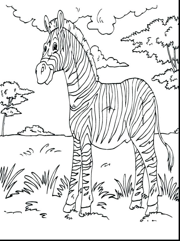 618x824 Zebra Pictures To Print Media