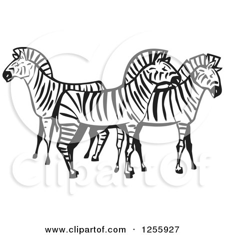 450x470 Clipart Of A Black And White Woodcut Group Of Zebras