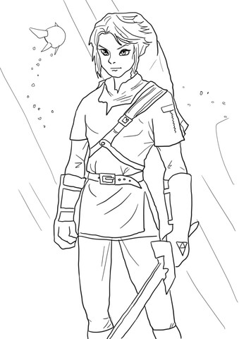 339x480 Link From Legend Of Zelda Coloring Page Free Printable Coloring