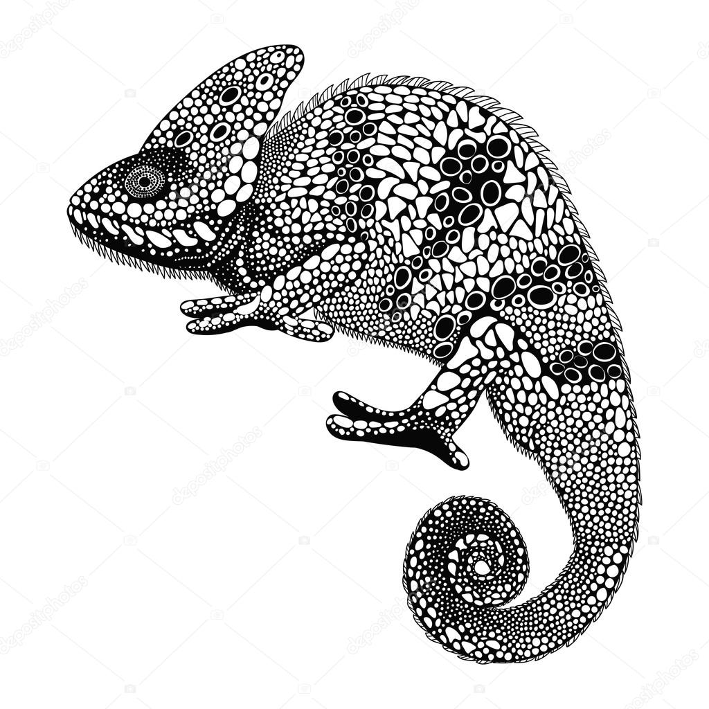 1024x1024 Zentangle Stylized Chameleon. Hand Drawn Reptile Vector Illustra