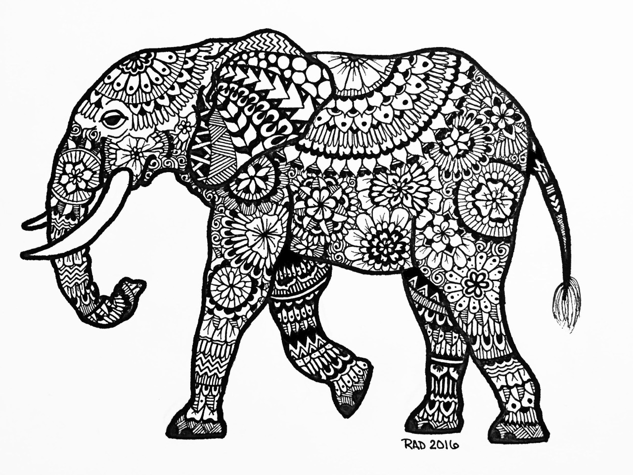 1280x960 Drawn Asian Elephant Doodle