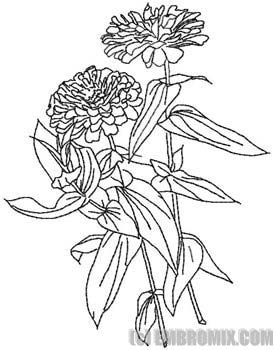 274x350 Flowers And Nature