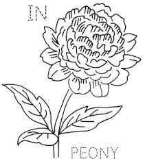 211x238 Image Result For Zinnia Flowers Drawing Tattoos