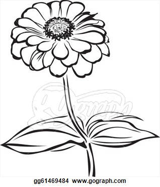 318x370 Pix For Gt Zinnia Flower Drawing Working In A Series Studies