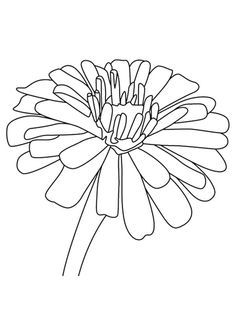 236x333 65 Best Coloring Pages Flower Images On Draw, Flower