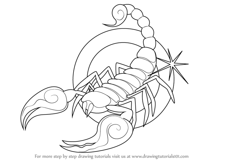 800x567 Learn How To Draw Scorpio Zodiac Sign (Zodiac Signs) Step By Step
