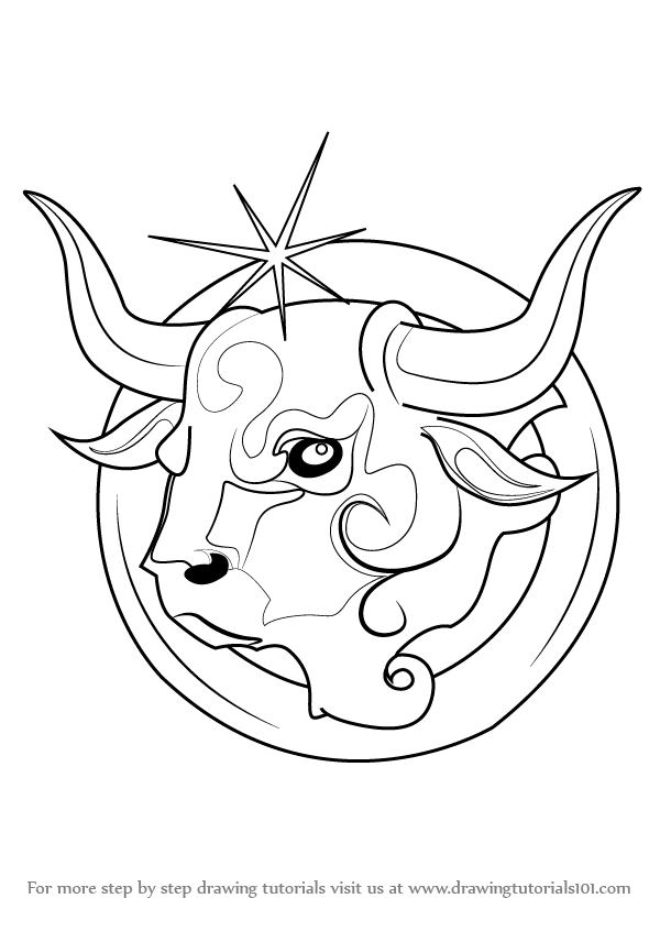 600x846 Learn How To Draw Taurus Zodiac Sign (Zodiac Signs) Step By Step