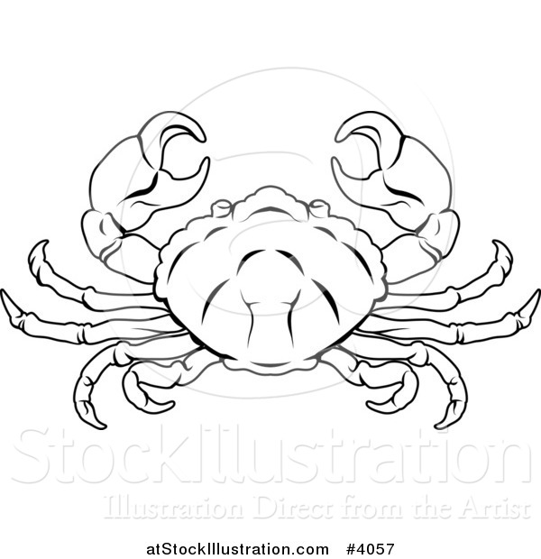 600x620 Vector Illustration A Black And White Line Drawing