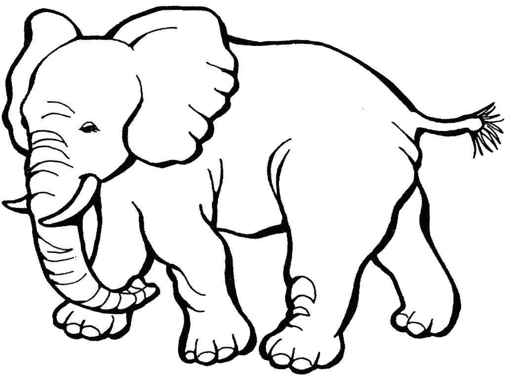 1024x761 Printable Zoo Animal Coloring Pages Printable Animal Coloring
