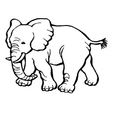230x230 Top 25 Free Printable Zoo Coloring Pages Online
