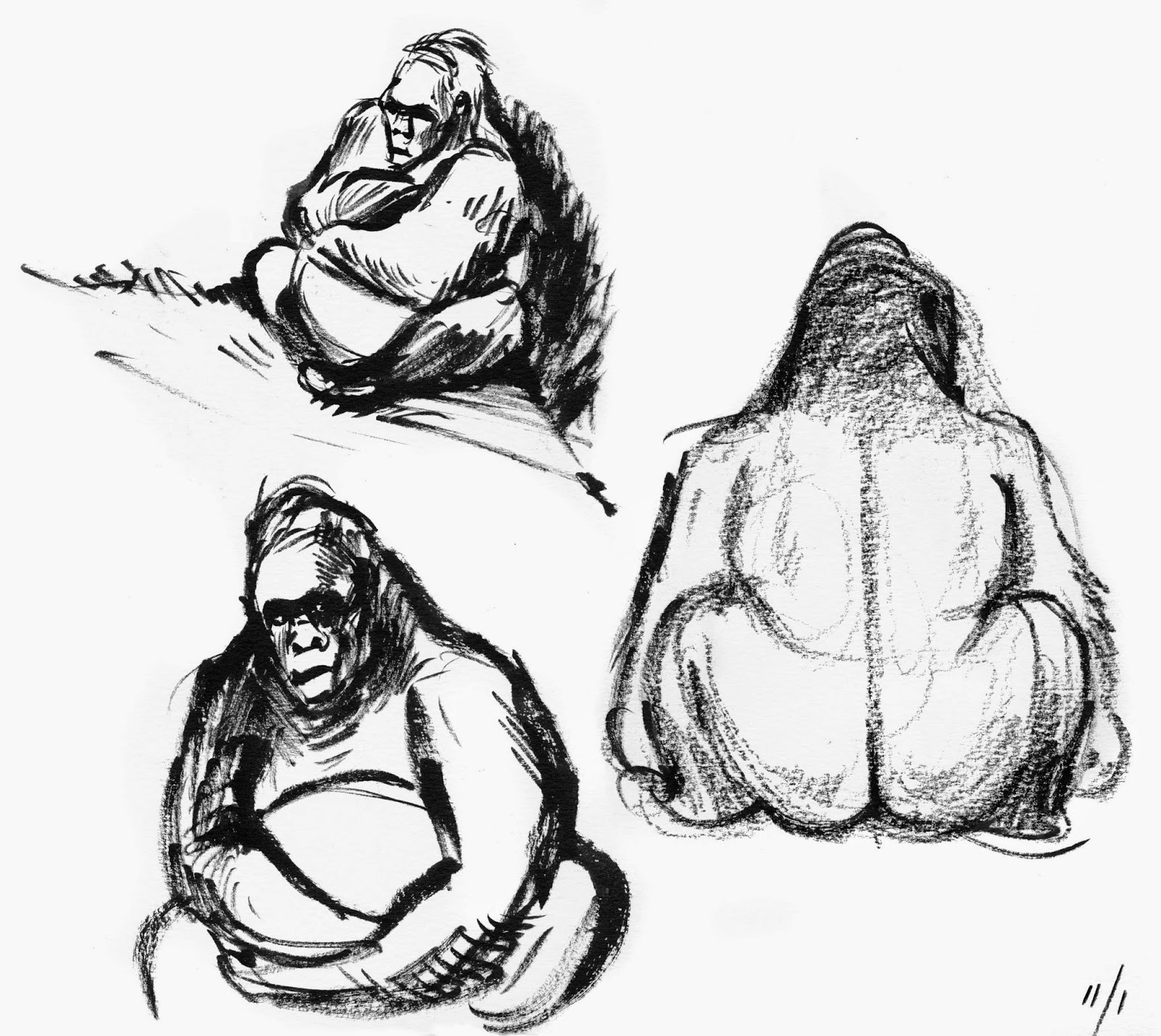 1600x1427 Works In Progress On Location Animal Drawing