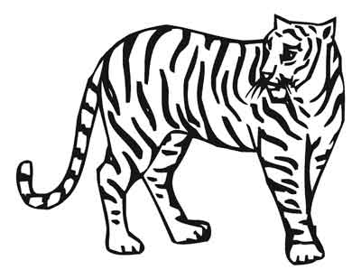 Zoo Animal Drawing at GetDrawings | Free download