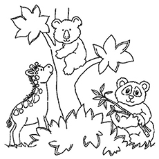 230x230 Top 25 Free Printable Zoo Coloring Pages Online