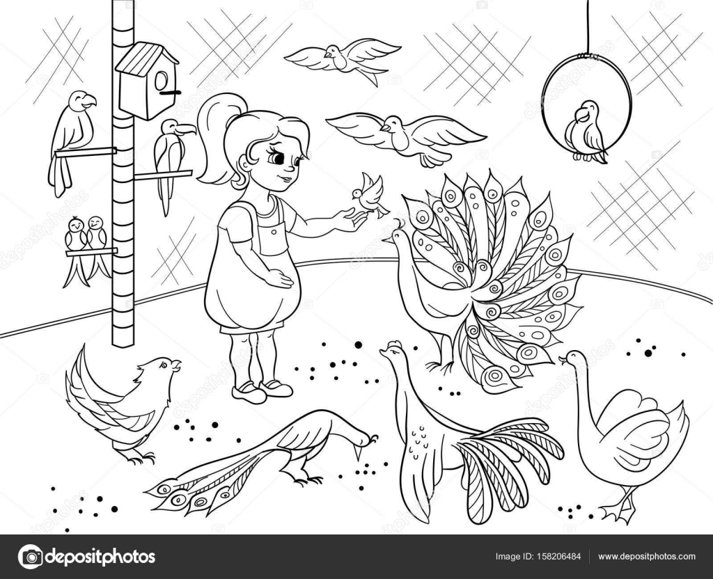 1024x832 Childrens Cartoon Coloring The Contact Birds Zoo. Bird Black