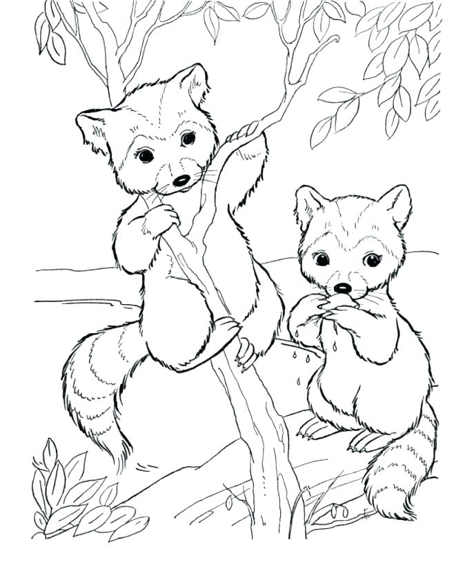 687x841 Top Rated Cute Animal Coloring Pages Images Free Baby Zoo Animal