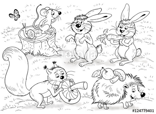 500x364 At The Zoo. Little Cute Forest Animals. Woodland Animals. Cute